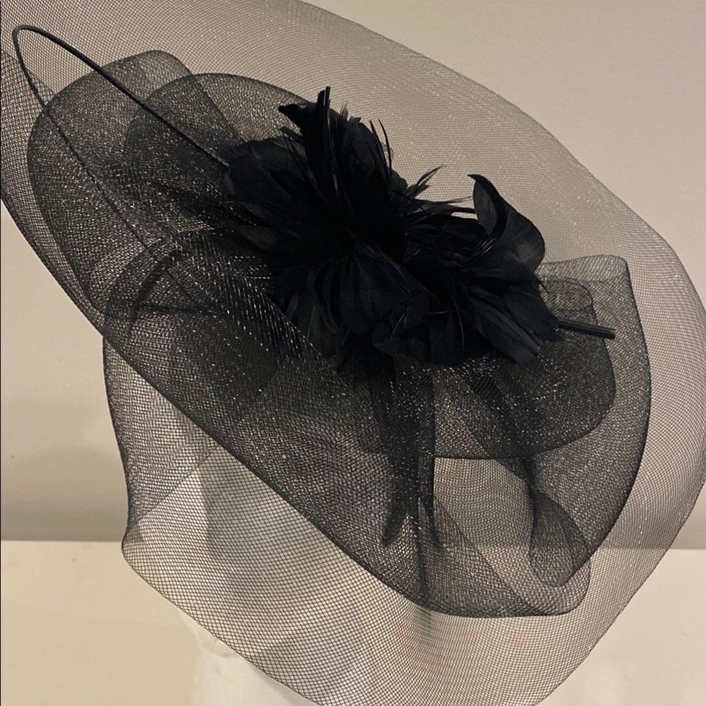 VANNI Black Hat with Curved Brim and Feather Embellishment